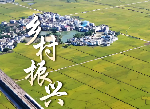 中共中央 国务院关于锚定农业农村现代化 扎实推进乡村全面振兴的意见