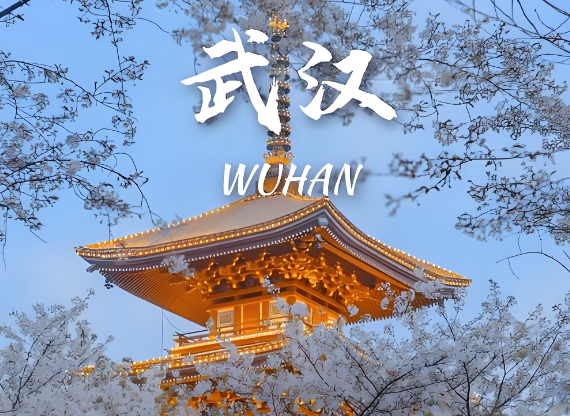 武汉有了百余赏樱新场景，让市民出门可赏樱