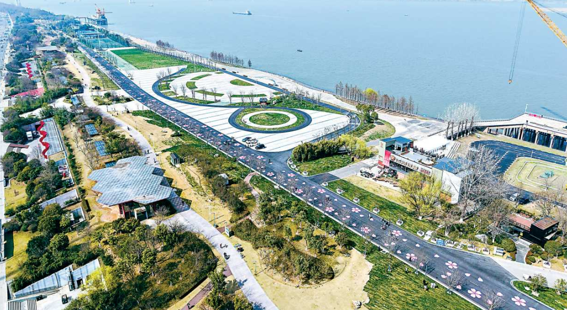 出片！汉马赛道终点“开出”朵朵樱花